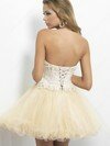 Ball Gown Champagne Tulle Appliques Lace Cute Short/Mini Prom Dresses #02042380